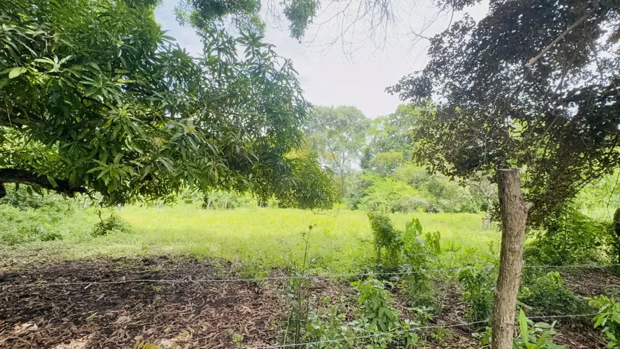 Se Vende terreno de 1,200 metros en bejuco, chame - 35,000 - Imagen 13