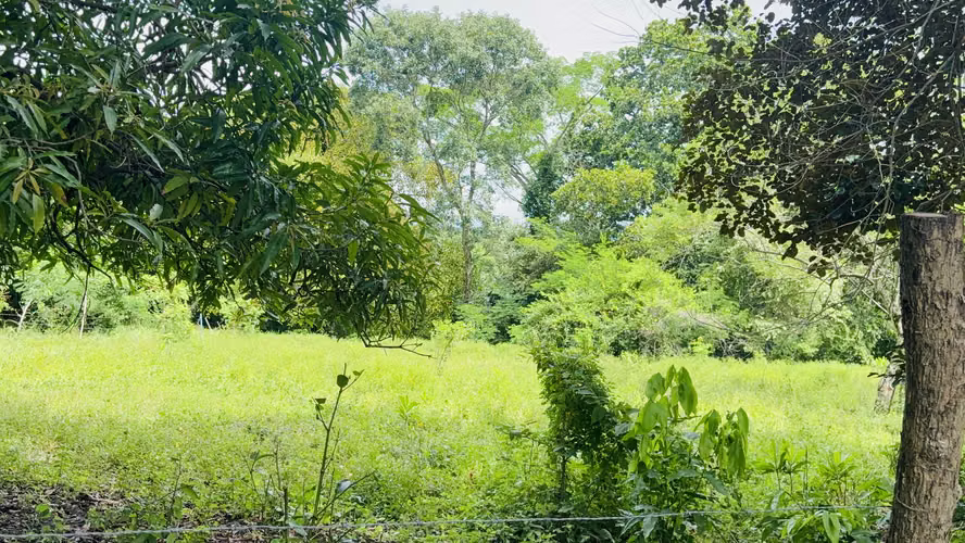 Se Vende terreno de 1,200 metros en bejuco, chame - 35,000 - Imagen 10