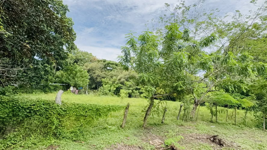 Se Vende terreno de 1,200 metros en bejuco, chame - 35,000 - Imagen 7