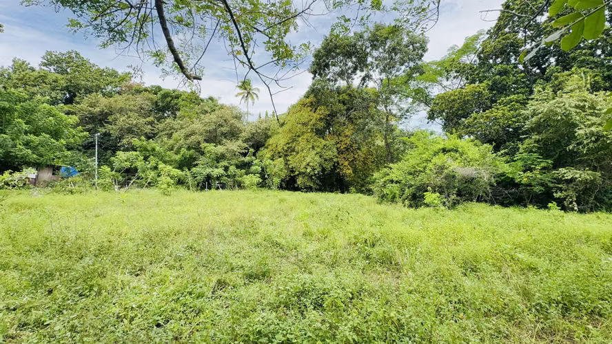 Se Vende terreno de 1,200 metros en bejuco, chame - 35,000