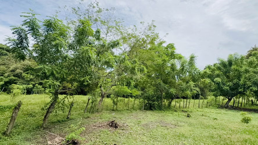 Se Vende terreno de 1,200 metros en bejuco, chame - 35,000 - Imagen 5
