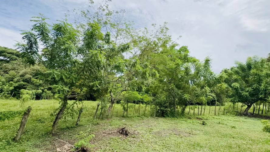 Se Vende terreno de 1,200 metros en bejuco, chame - 35,000 - Imagen 6