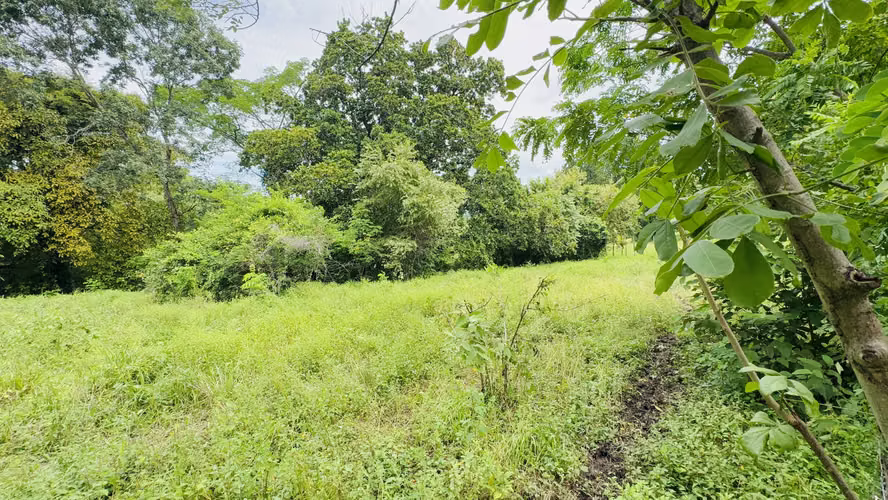 Se Vende terreno de 1,200 metros en bejuco, chame - 35,000 - Imagen 4