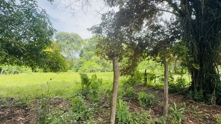 Se Vende terreno de 1,200 metros en bejuco, chame - 35,000 - Imagen 11