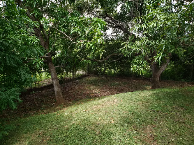 Terreno estratégico para desarrollar proyectos comerciales. con casa incluida - Imagen 10