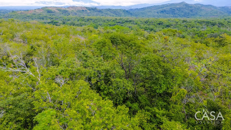 Cerca de 4 Hectáreas de Terreno en Venta en Bijagual, Gualaca, Chiriquí - Imagen 10