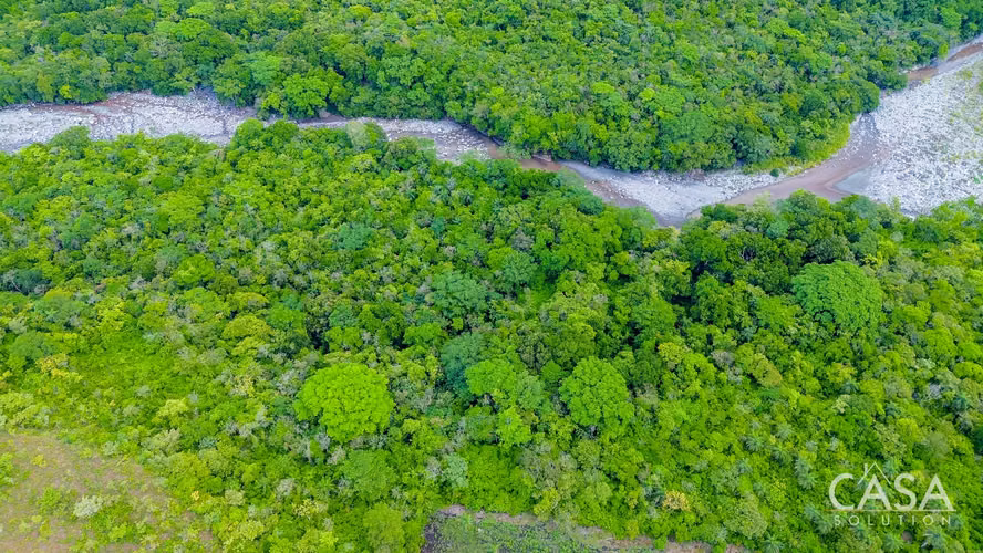 Cerca de 4 Hectáreas de Terreno en Venta en Bijagual, Gualaca, Chiriquí - Imagen 6