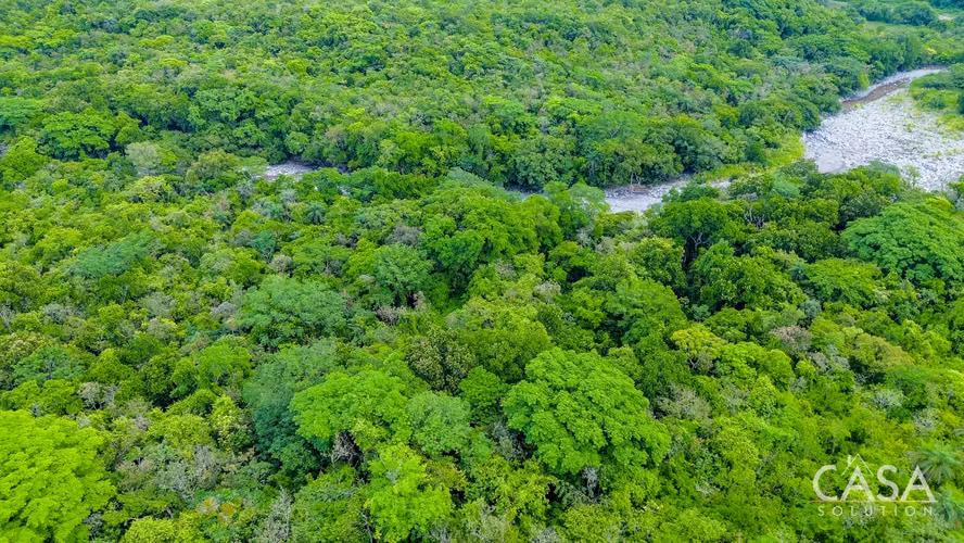 Cerca de 4 Hectáreas de Terreno en Venta en Bijagual, Gualaca, Chiriquí - Imagen 5