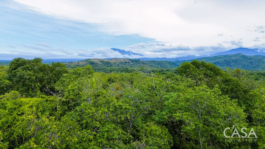 Cerca de 4 Hectáreas de Terreno en Venta en Bijagual, Gualaca, Chiriquí - Imagen 3