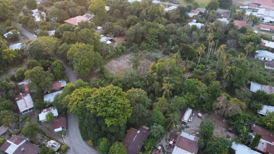 Subasta de Terreno en Barú, Chiriquí - Imagen 3