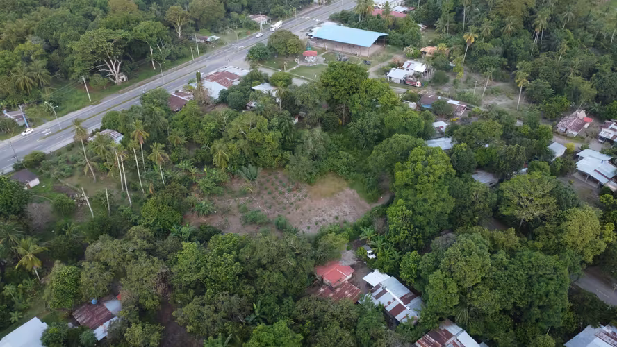 Subasta de Terreno en Barú, Chiriquí - Imagen 4