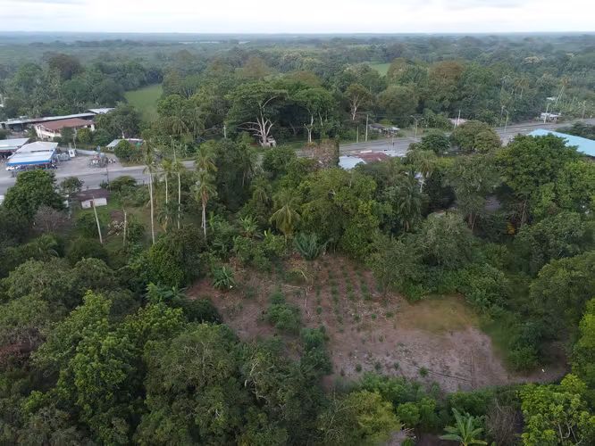 Subasta de Terreno en Barú, Chiriquí - Imagen 14