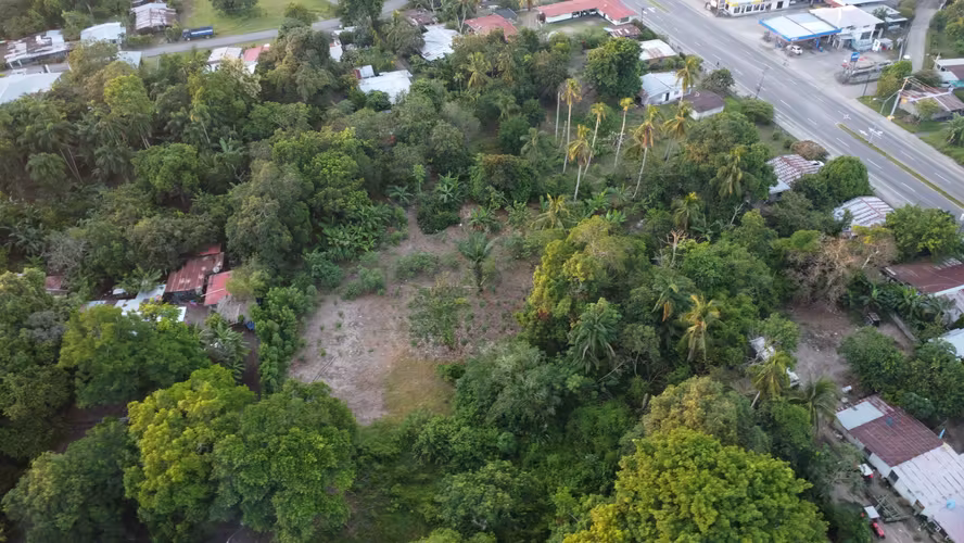 Subasta de Terreno en Barú, Chiriquí - Imagen 15