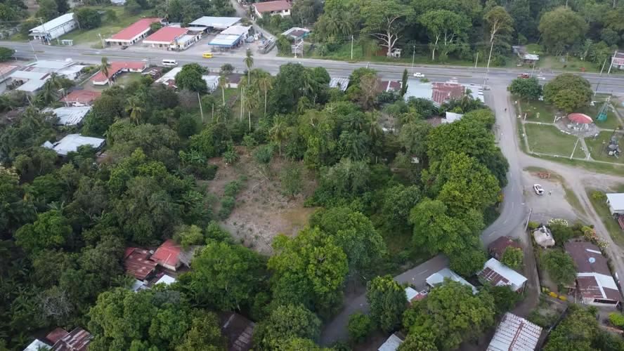 Subasta de Terreno en Barú, Chiriquí - Imagen 9