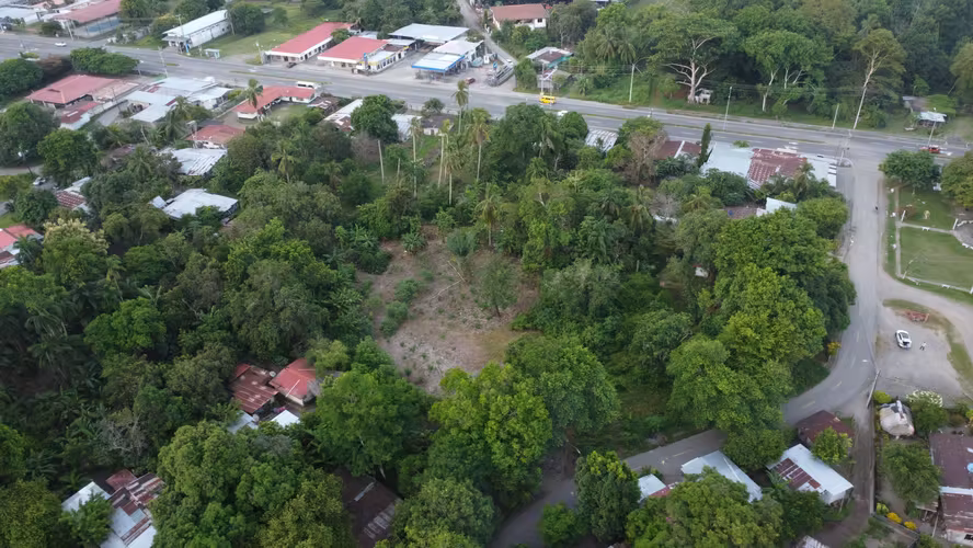 Subasta de Terreno en Barú, Chiriquí - Imagen 10