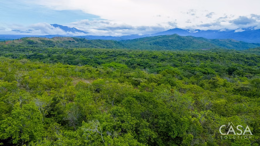 1-Hectare Lot for Sale in Bijagual, Cerrillo, Gualaca, Chiriquí