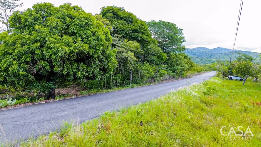Lote de 1 Hectárea en Venta en Bijagual, Cerrillo, Gualaca, Chiriquí - Imagen 8