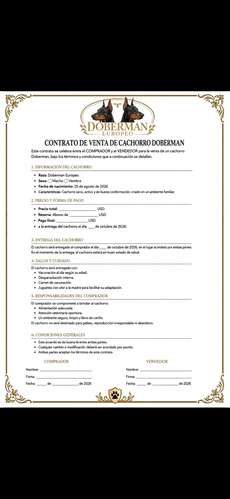Doberman Europeos 100% cachorros - Imagen 8