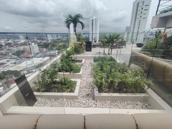 Apartamento en Alquiler en Coco del Mar PH Dovle VIK 26-2745 - Imagen 19