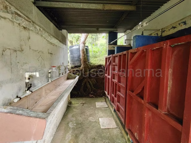 Venta de Campamento La Arenosa, Panamá Oeste 27GC215 - Imagen 6
