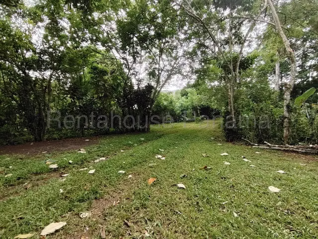 Venta de Campamento La Arenosa, Panamá Oeste 27GC215 - Imagen 5
