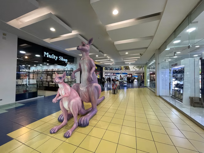 Oportunidad Albrook Mall - Se Vende Local Comercial - Imagen 10