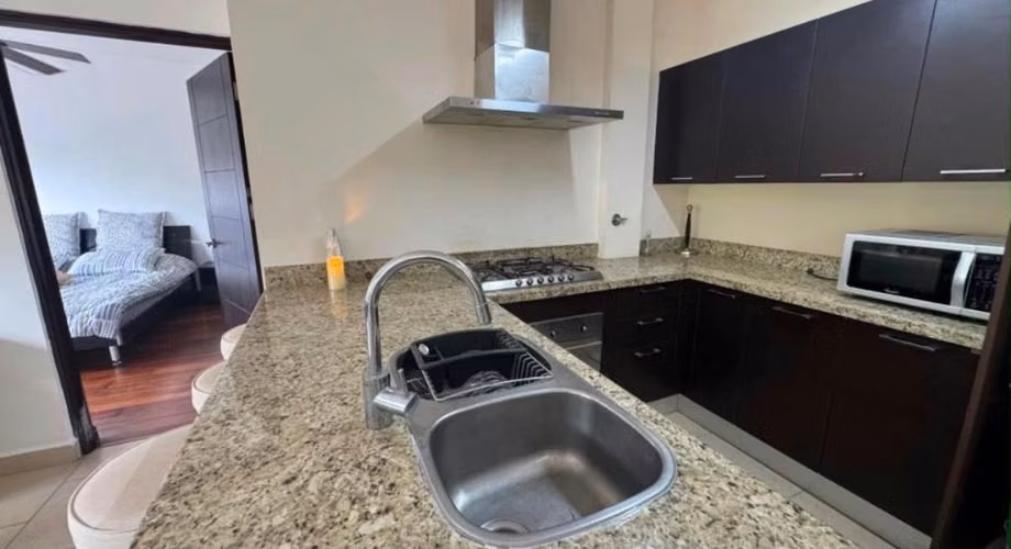Ph Soleo Howard - Alquiler de Apartamento - Imagen 5
