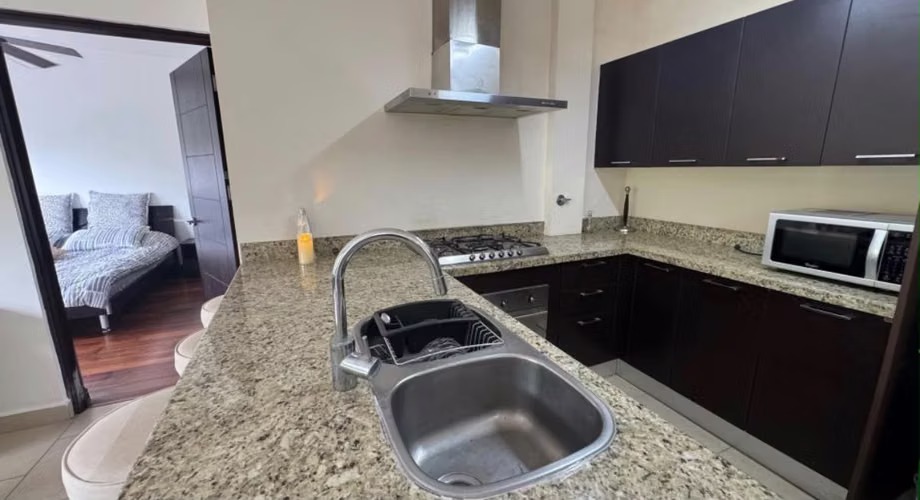 Ph Soleo Howard - Alquiler de Apartamento - Imagen 6