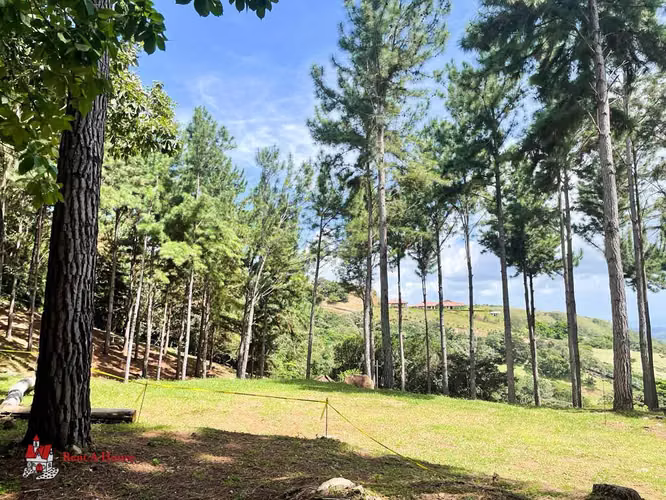Terreno en Venta en Las Lajas. - Imagen 13
