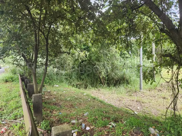 Venta de terreno via Panamericana La Chorrera 25GC4059 - Imagen 2
