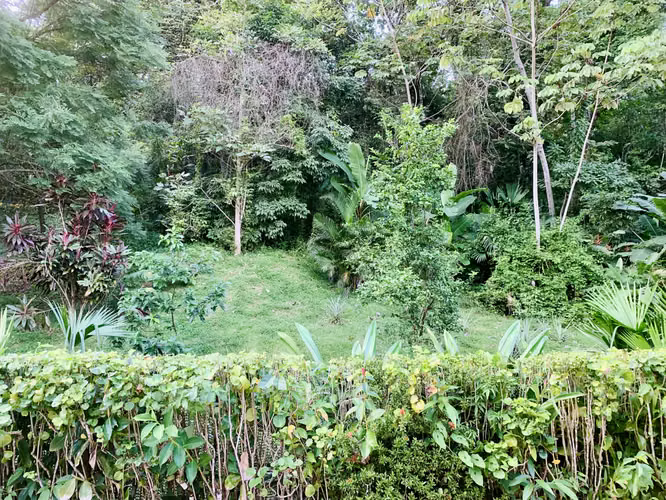 ALBROOK  Una Casa con el Encanto de Vivir Rodeado de Verde