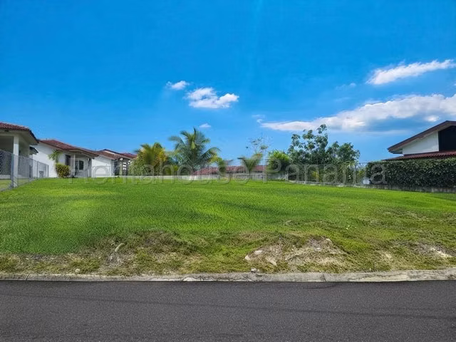 Terreno en Venta en San Carlos JG - Imagen 4