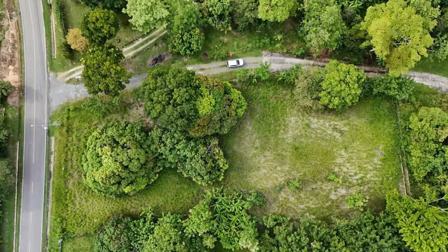 Se vende terreno de 3, 736m2 en Las Guías - Imagen 5