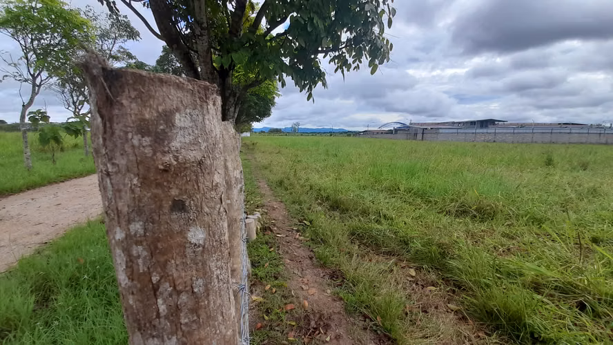 Anton. 2.3H frente a la interamericana. $1,860,800.00neg - Imagen 5