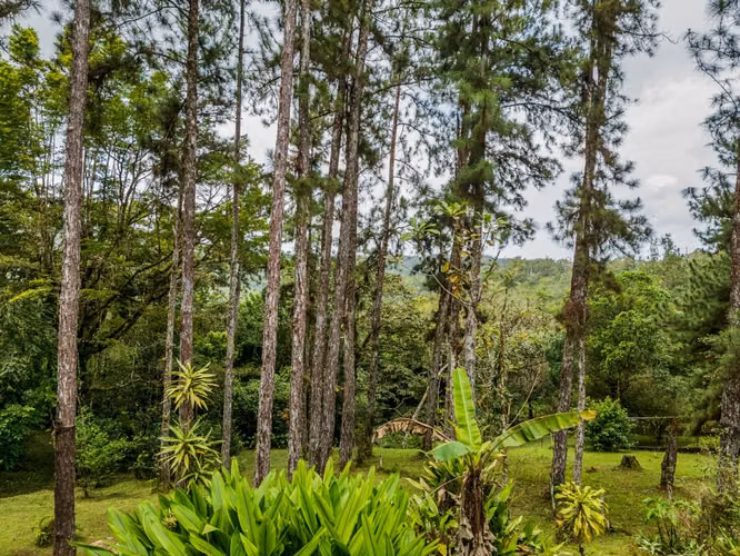 VENTA CASA CERRO AZUL 1,581M2 LUJOSA AMOBLADA CV