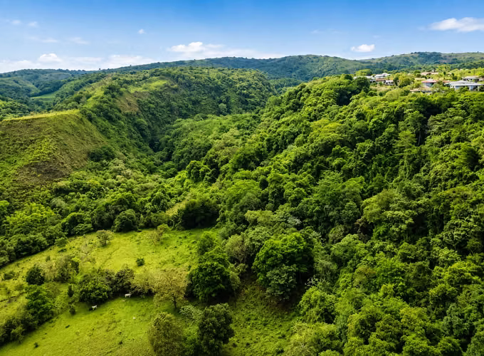 Venta de Terreno en Boquete, Chiriquí, 13 hectáreas - Imagen 6