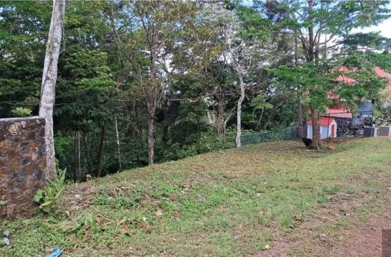 SE VENDE LOTE EN LOS ALTOS DE CERRO AZUL - Imagen 2