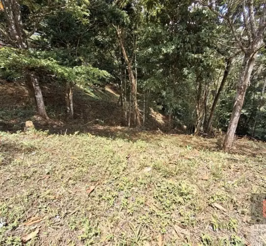 SE VENDE LOTE EN LOS ALTOS DE CERRO AZUL - Imagen 3