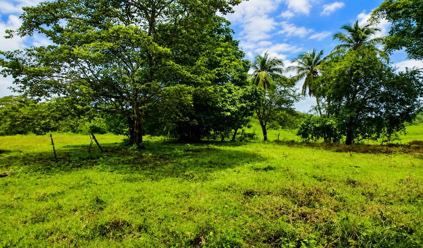 Venta de Finca en Arenas de Quebro, Mariato, Veraguas, 137 hectáreas - Imagen 11