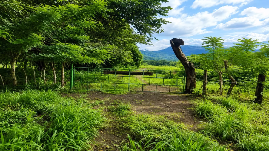 Venta de Finca en Arenas de Quebro, Mariato, Veraguas, 137 hectáreas - Imagen 3
