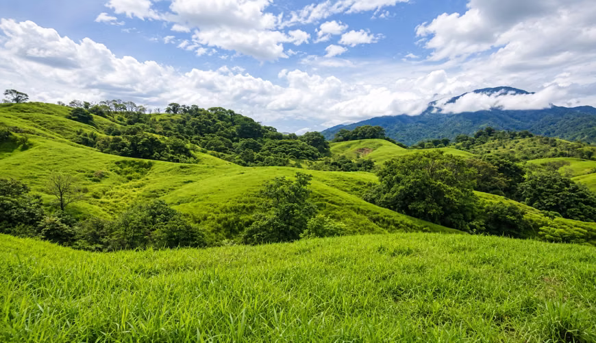Farm for sale in Arenas de Quebro, Mariato, Veraguas, 137 hectares