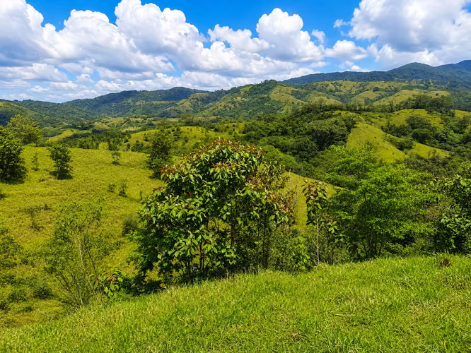 Venta de Finca en Arenas de Quebro, Mariato, Veraguas, 137 hectáreas - Imagen 7