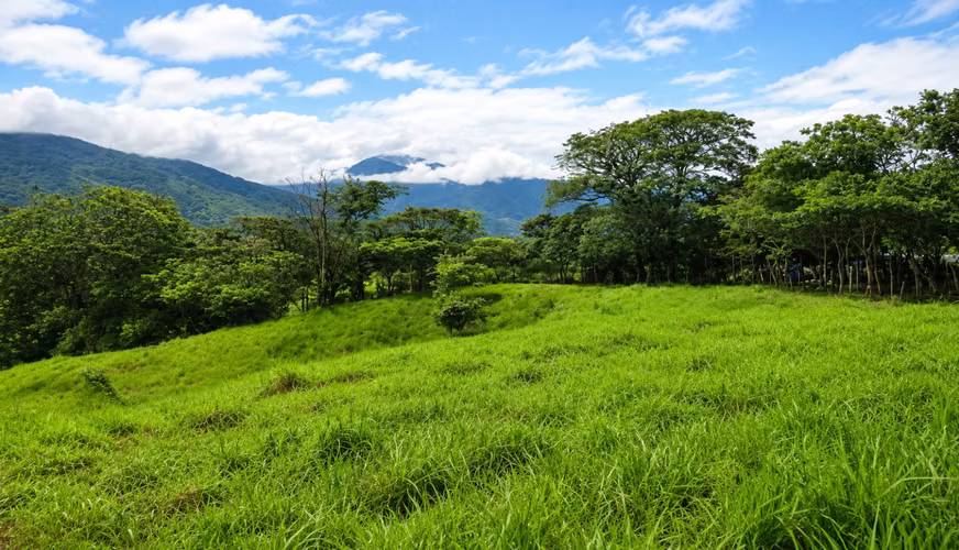 Venta de Finca en Arenas de Quebro, Mariato, Veraguas, 137 hectáreas - Imagen 2