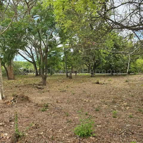 Venta de centrico terreno via Macaracas, Los Santos