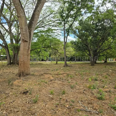 Venta de centrico terreno via Macaracas, Los Santos