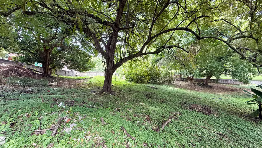 Propiedad Privada Rodeada de Áreas Verdes en Altos del Golf, Ciudad de Panamá - Imagen 5