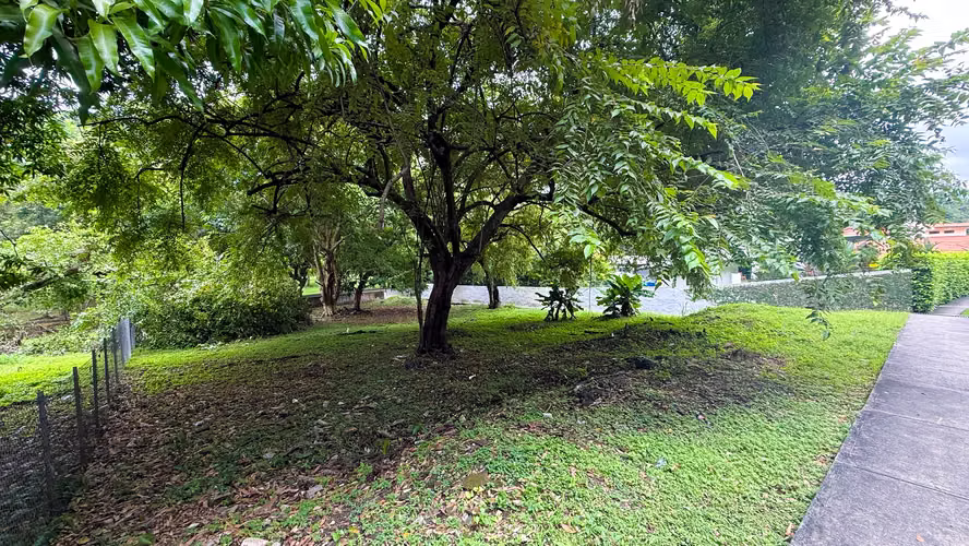 Propiedad Privada Rodeada de Áreas Verdes en Altos del Golf, Ciudad de Panamá - Imagen 4