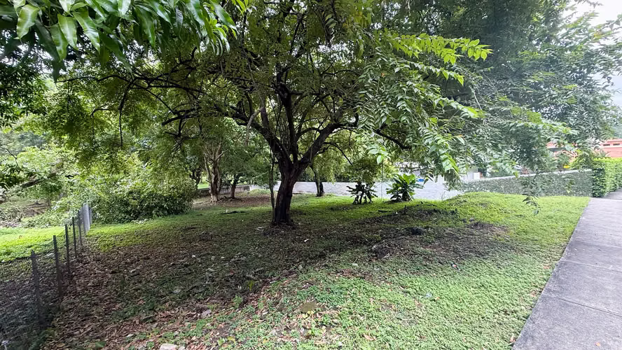 Propiedad Privada Rodeada de Áreas Verdes en Altos del Golf, Ciudad de Panamá - Imagen 3