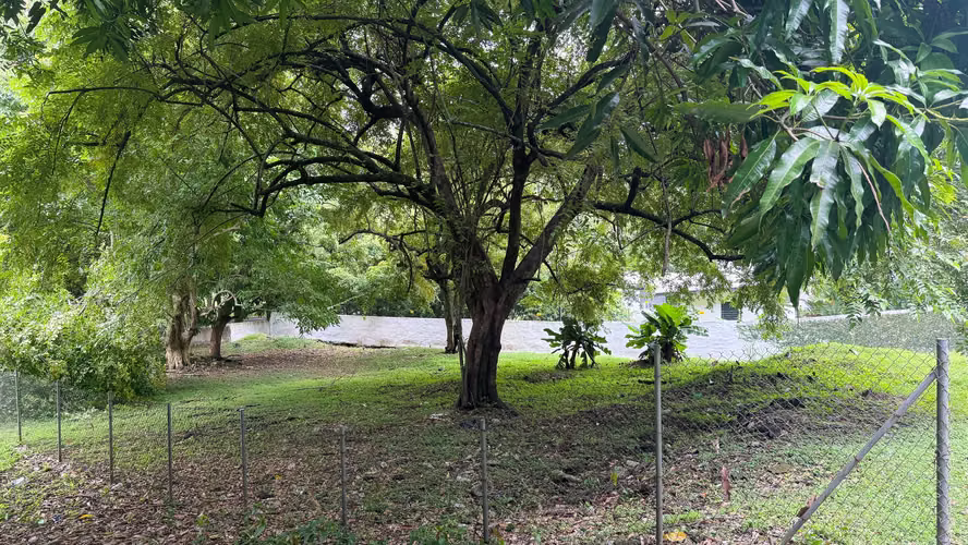 Propiedad Privada Rodeada de Áreas Verdes en Altos del Golf, Ciudad de Panamá - Imagen 6