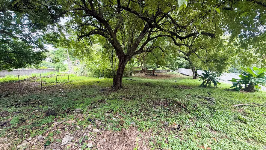 Private Green Property in Altos del Golf, Panama City